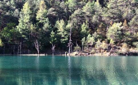 ��������������600��8ƪ