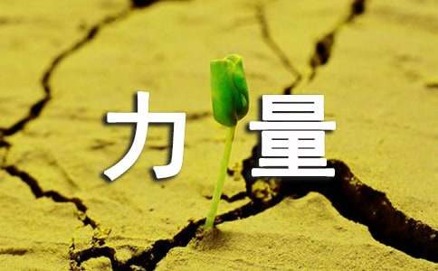 爱的力量优秀作文