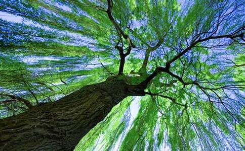 (��)�Ұ�����������