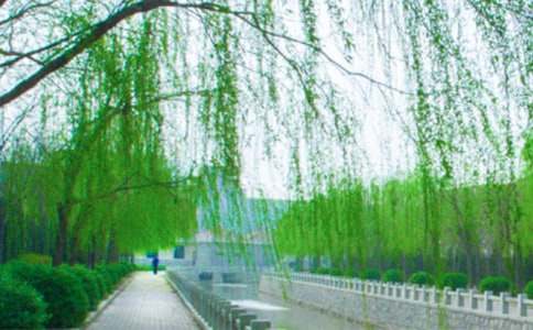 ��ѡ���������������300��3ƪ