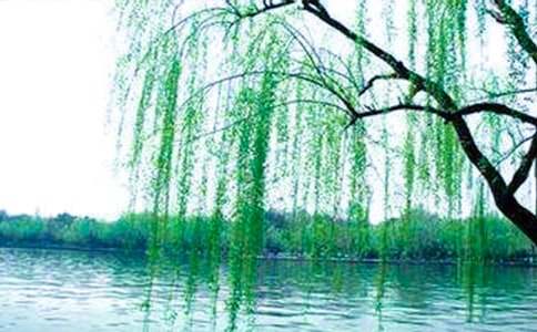 ����ѡ����������400����ƪ