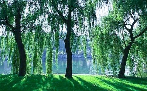 ���������������꼶���ļ�����ƪ