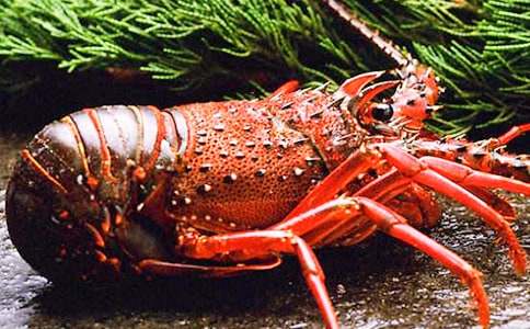 ��Ϻ������400��