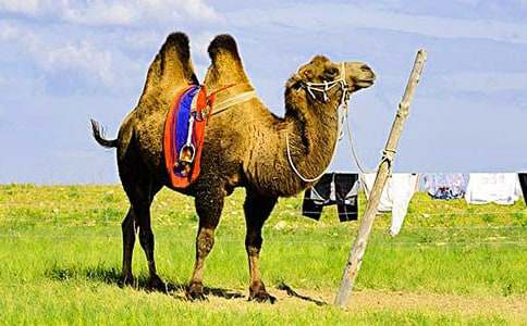 ���ġ������ա���ѧ��˼6ƪ