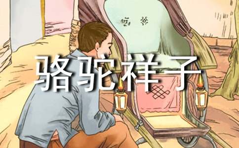 �������Ӷ���з���13ƪ(��ѡ)