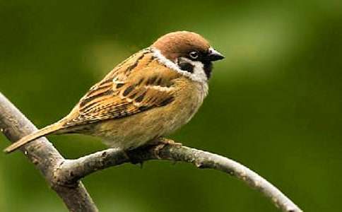 ������ȸ����600�־�ƪ