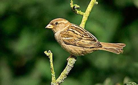 ����Ʒ��С��ȸ�̰���ƪ