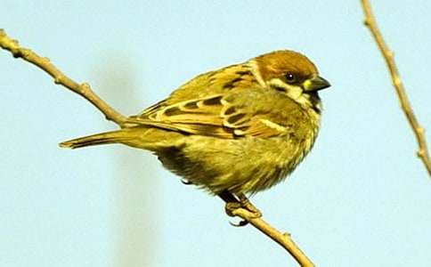 ��ȸ����400�ִ�ȫ��10ƪ��