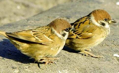 [��]��ȸ������300��