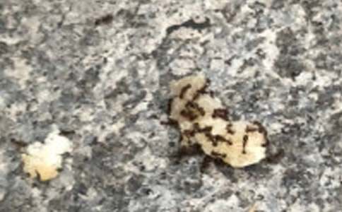 ����ѡ���������ϵ�����300��9ƪ