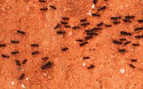 ��������600��3ƪ(����)