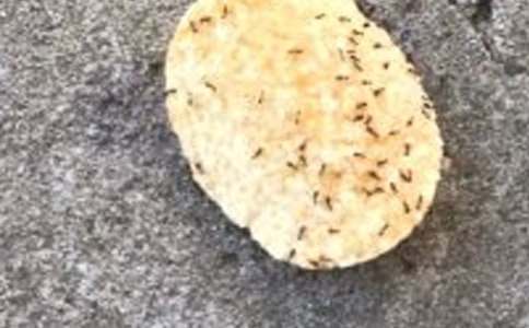 ʵ�õ����ϵ�����600��[�Ƽ�]