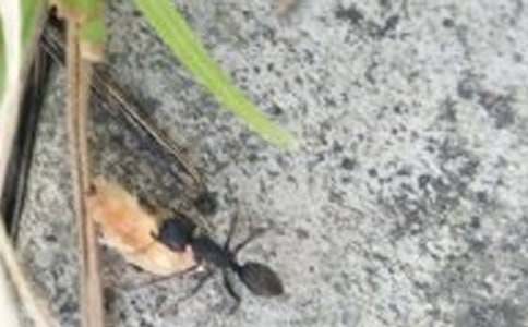 ��������300�ֱر�(4ƪ)