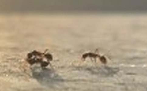 ��������������400��