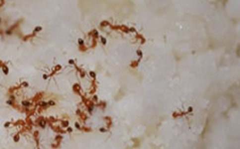 �Ž����������300��