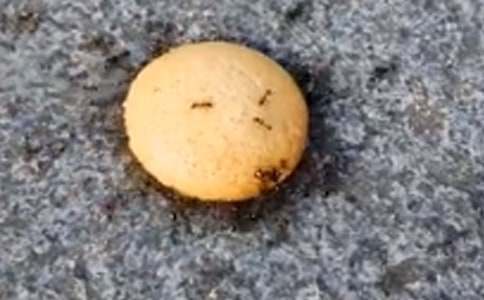 ���ϵļ�����300�ֳ���[9ƪ]