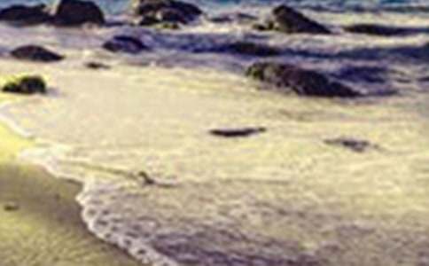 ��ԭ����������500��15ƪ(ʵ��)