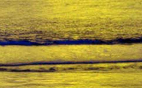 ��д������Ȼ����������