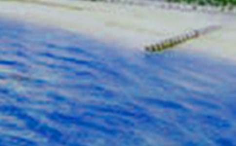 ��������500��8ƪ���ȡ�