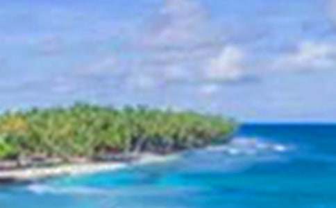 ����������600��