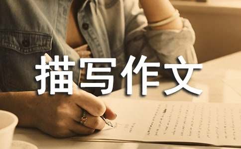 ������д����600��15ƪ[ʵ��]