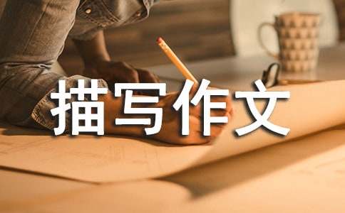 ������������д����