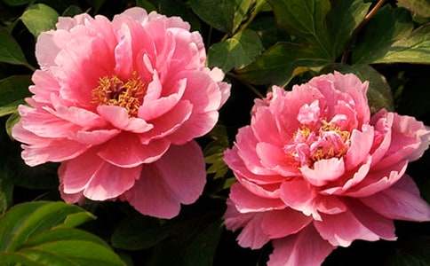 ĵ�����ռ�