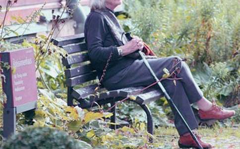 ���̶����������