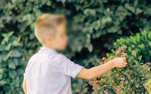 �����Ǹ��к�����500�ֺϼ���ƪ