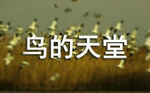 ��������á���ѧ��˼