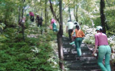 三年级爬山的作文