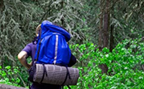 ����ɽ���Ľš��̰�