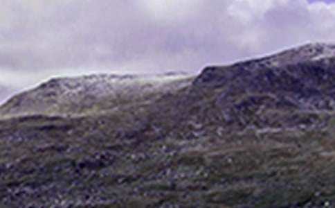 ����������ɽ���Ľš���ѧ���