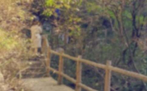 ���Ƽ�����ɽ������300��3ƪ