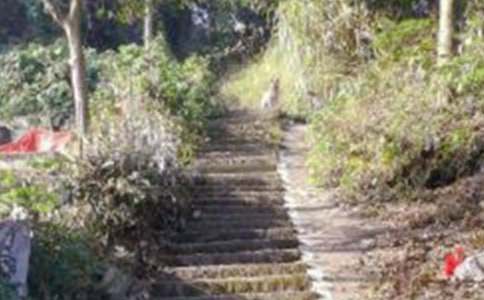 ��ɽ���ĽŽ̰�[�Ƽ�]