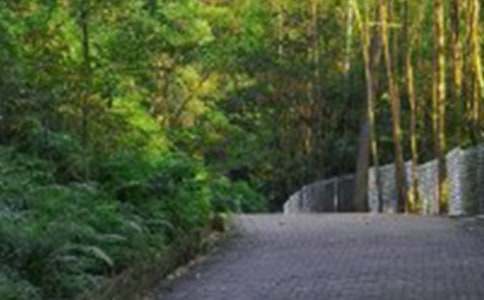 ��ɽ����400��9ƪ