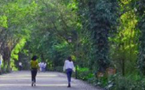 �����š���ɽ����600��4ƪ