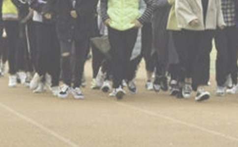 �ܲ�����300�ֱر�15ƪ