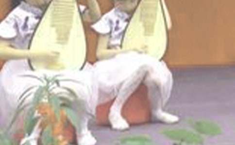 琵琶行并序教案