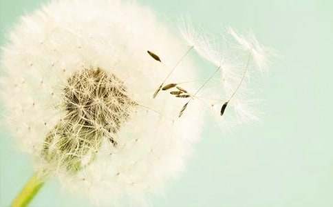 ����ѡ���ѹ�Ӣ����500��10ƪ