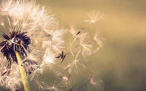 �ѹ�Ӣ������600�ּ���[4ƪ]