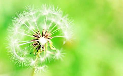 �ѹ�Ӣ������300�֡�����9ƪ��