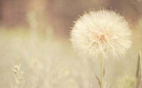 �ѹ�Ӣ����500��(�ر�6ƪ)