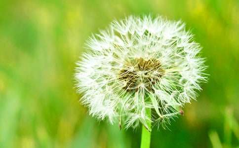 �ѹ�Ӣ����300��ʵ�á�4ƪ��