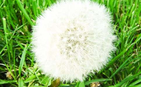 ������Խ̰����ѹ�Ӣ��