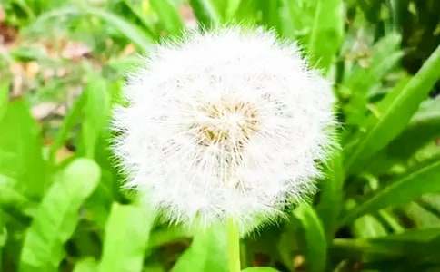 ʵ�õ��ѹ�Ӣ����600�ַ���3ƪ