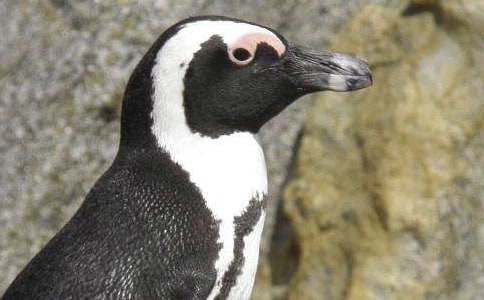 ��������������졷�����