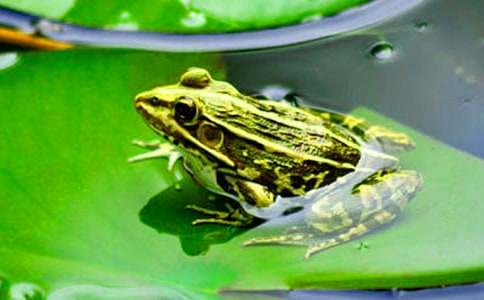 ���ܵ�����300��4ƪ[�Ƽ�]