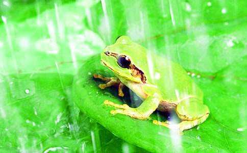 ��������600�ּ�����3ƪ��