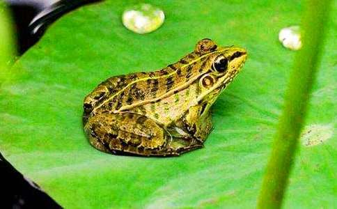 ����дʫ��ѧ��˼